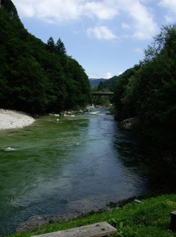 Reka Hisa river side lodge Bohinjska Bela Exterior foto