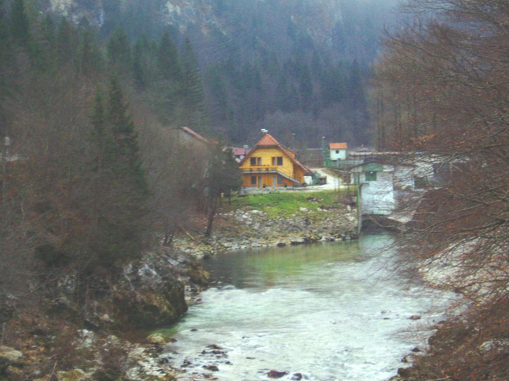 Reka Hisa river side lodge Bohinjska Bela Exterior foto